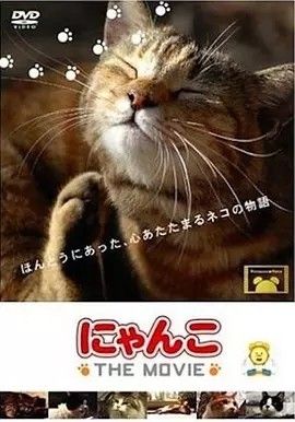 2006电影《猫咪物语》全集高清免费在线观看 日韩电影_《猫咪物语》高分治愈纪录片推荐 全5部丨9.0分|夸克百度迅雷网盘免费下载