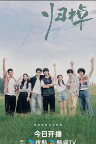 2024双男主电视剧《归棹》全16集未删减免费在线观看_《归棹》高清无广告在线观看_双男主国产剧《归棹》完整版在线观看-vs影视
