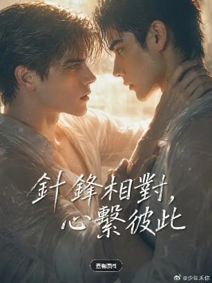 2026美剧《针锋相对，心系彼此》全集1-45集高清在线观看_电视剧免费观看_双男主美剧《针锋相对心系彼此》免费高清在线观看_欧美剧